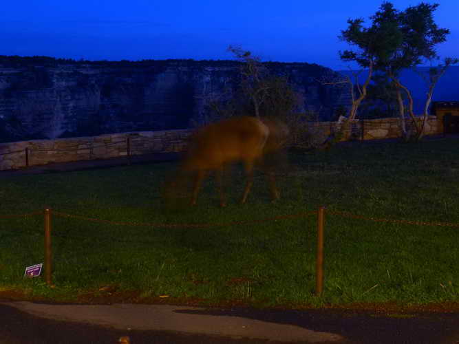 USA_2013-07-17 05-48-14_P1080307